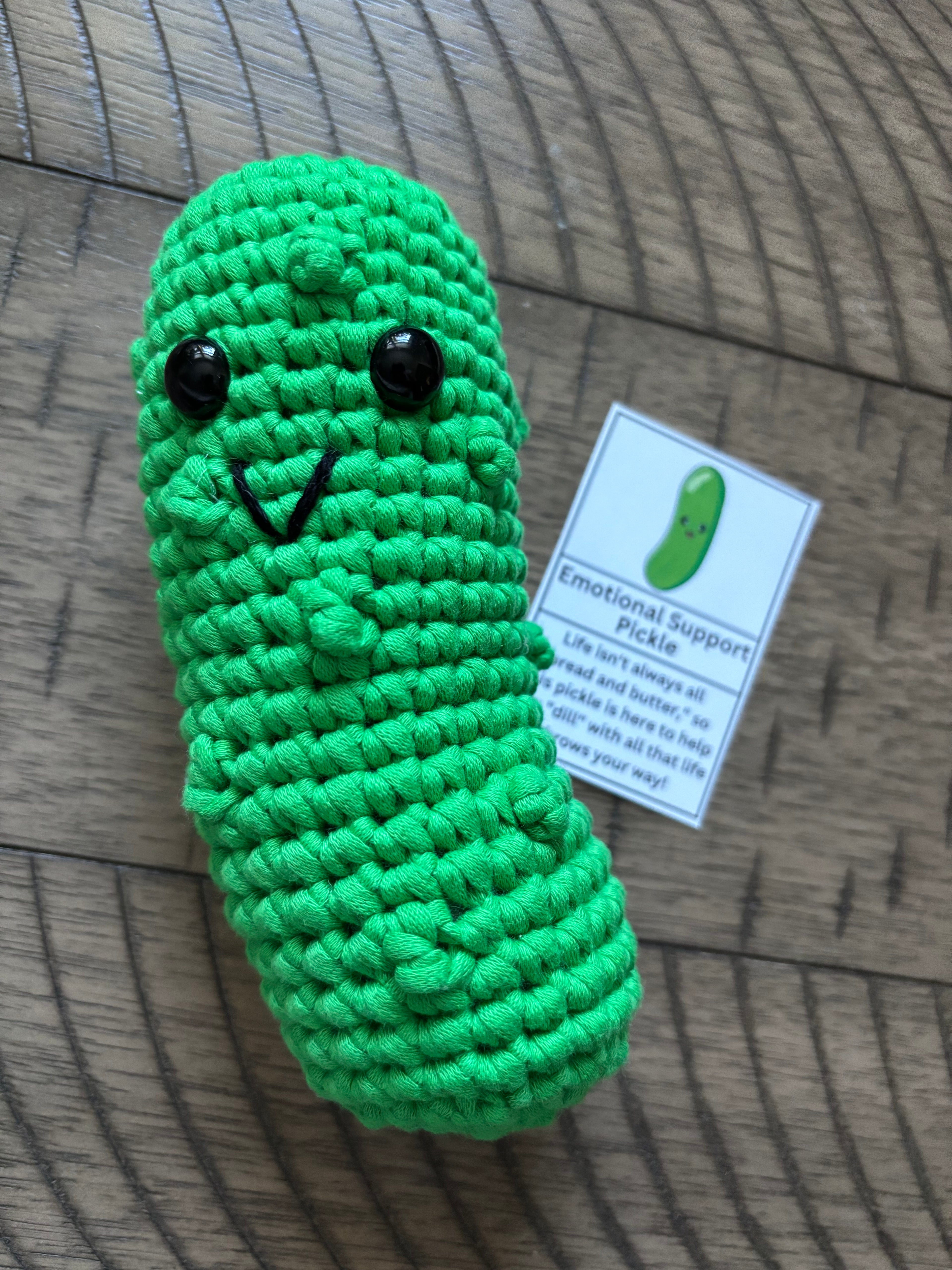 MAKE YOUR OWN - Emotional support pickle WORKSHOP 3/14/26