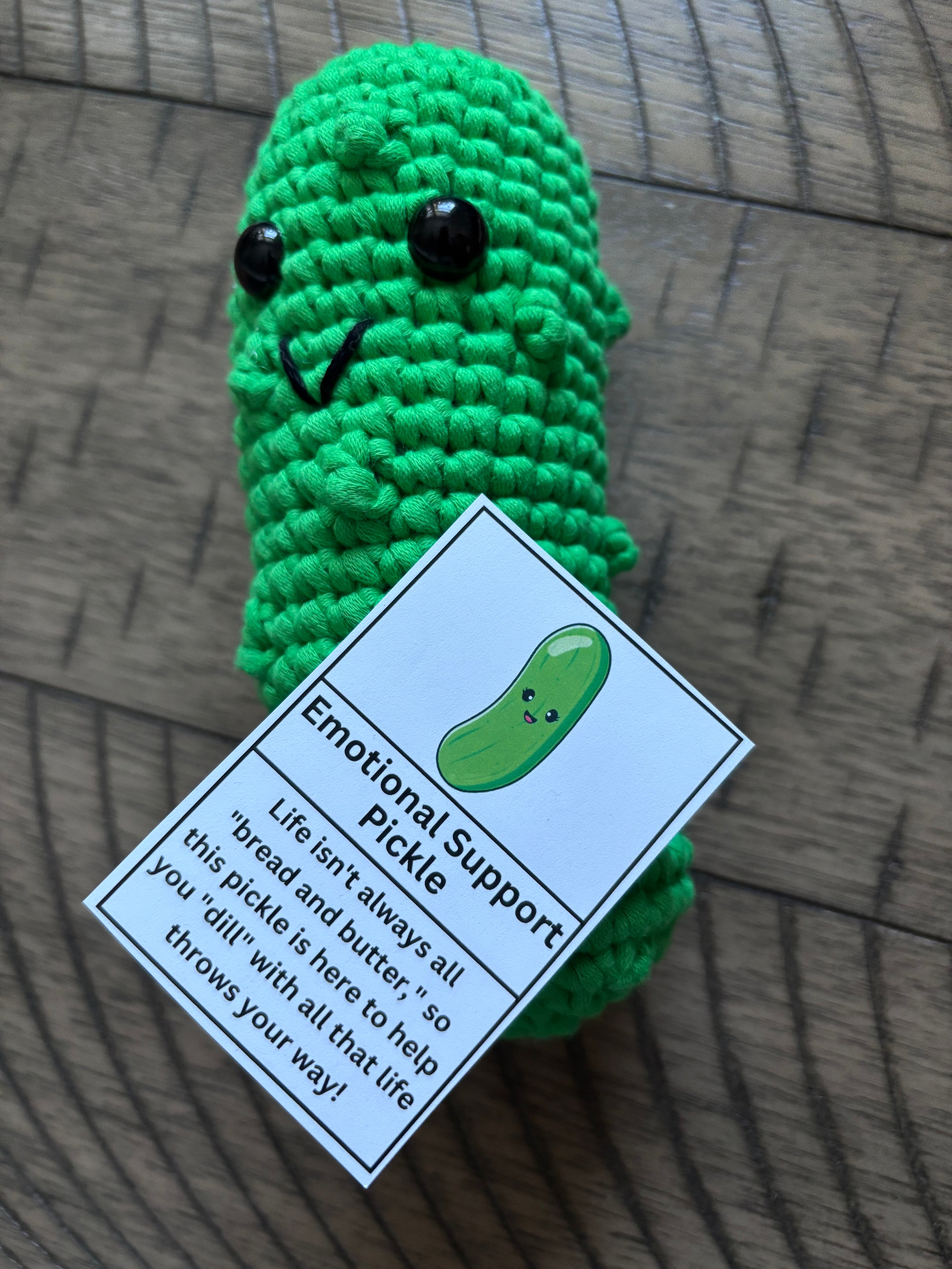 MAKE YOUR OWN - Emotional support pickle WORKSHOP 3/14/26